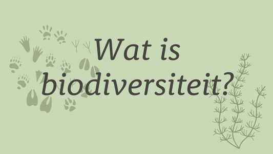 Wat is biodiversiteit?
